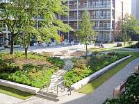Therapieweg