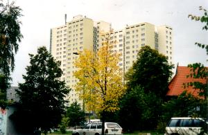 Seeefelder Straße